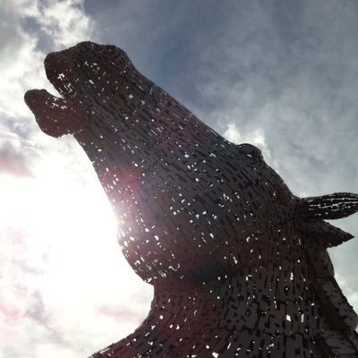 midgemlh1's profile picture. Mum of three and a dog . Loves sunny days and walking the dog