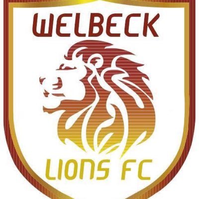 Welbeck Lions FC