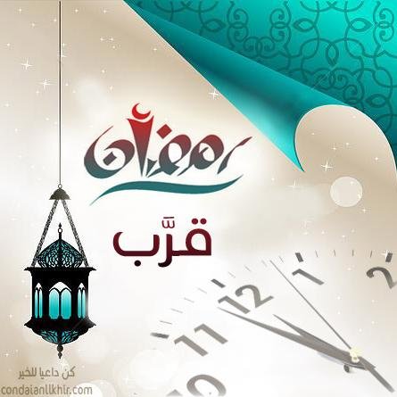 looksmart8's profile picture. 