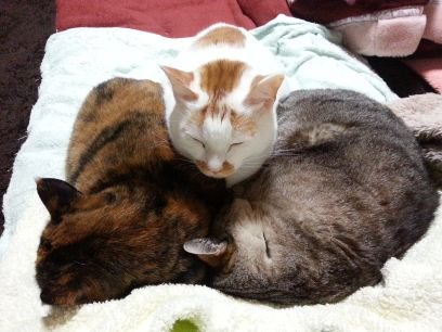 narinari0412's profile picture. 