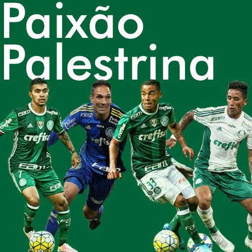 Aqui se fala de Palmeiras! 

Twitter do blog Paixão Palestrina. Contato: blogpaixaopalestrina@gmail.com