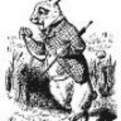 bunnyblanco's profile picture. Post-adolescent man.