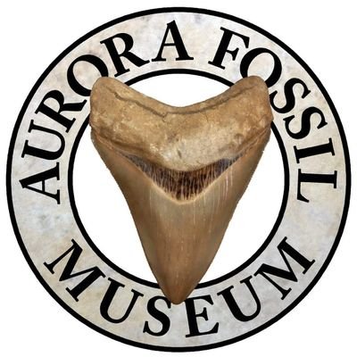Aurora Fossil Museum Profile