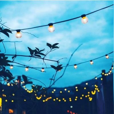 jelmaavn's profile picture. 