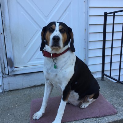 jimmycons59's profile picture. NASCAR NHL NFL