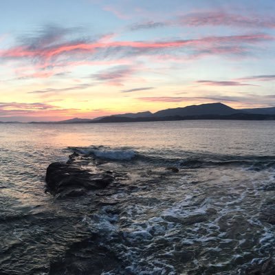 vincelikerct's profile picture. Carpe diem