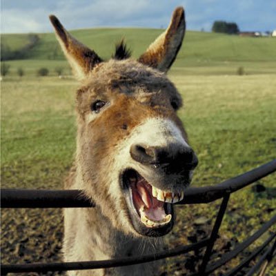 Titoule60240_'s profile picture. 