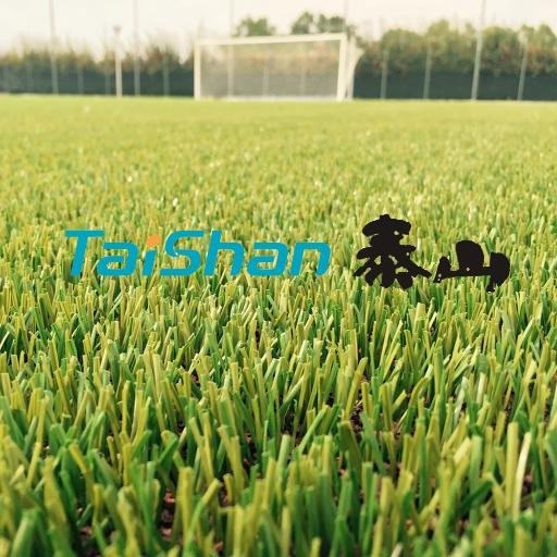 Taishan Sports Industry Group