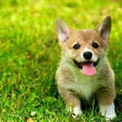 Lyubov565's profile picture. 