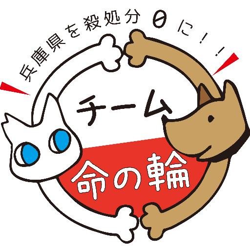 兵庫県で、殺処分０を目指し、明石から西方面で、主に野良猫のTNR・愛護センターからの引出し・遺棄された動物の保護活動等を、メンバーと共にやっています。一生涯の責任と愛情をもって、動物を迎えてやって欲しいと思います。