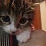 sleepy_taka's profile picture. Microsoft Azureを中心にほげほげしているエンジニア。都内の隅っこで生活。