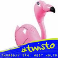 Glasto Flamingo (@glastoflamingo) 's Twitter Profile