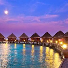 3fK4JB6UjOsproC's profile picture. 美容師からのホームレス。そこからのスタートでした。やる事をやる。それだけで1年経った今では当時とは真逆の生活を送れるようになりました。