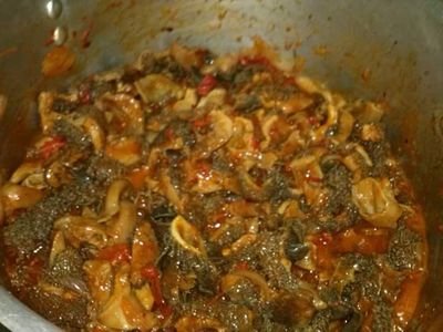 gannsang's profile picture. Horrible Kenyan!