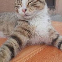 쉘링 (@fdfdvxw5pfvuicd) 's Twitter Profile