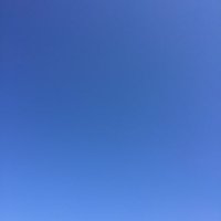 wonder sky🇺🇦🌻🇵🇸 (@_wonder_sky) 's Twitter Profile