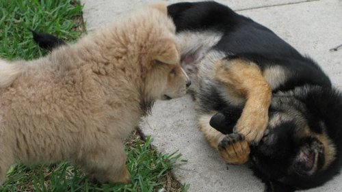 lichen91's profile picture. i live life like the captain of a sinking ship.