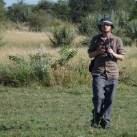 Philip Hinchliffe (@phil_hinchliffe) 's Twitter Profile