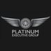 Platinum Executive Group (@PLEXGROUP_) Twitter profile photo