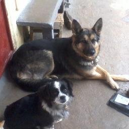 stefanosmihopo2's profile picture. 