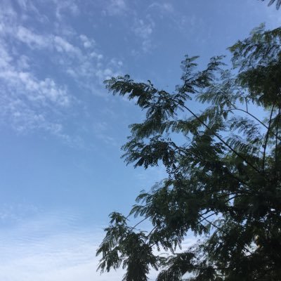 alaa_mutawa's profile picture. AUB Alumna