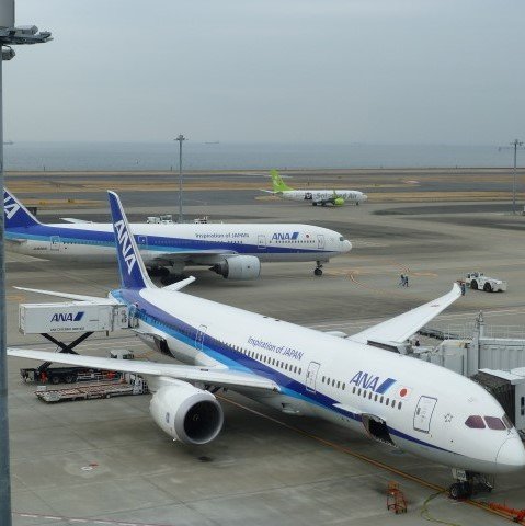 YHikari634's profile picture. 飛行機のことを不定期で掲載しています　武蔵中の卓球部です　９５期