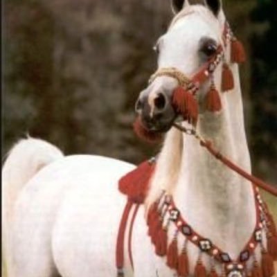 من الرقي في الإنسان : أن يستمع لكل رأي ويحترمه .. وليس بالضرورة أن يقتنع به !