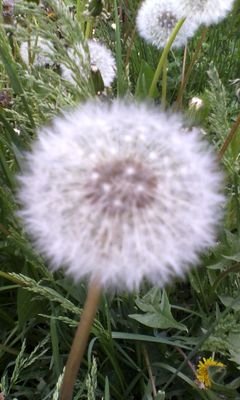 krivoluchie's profile picture. Профиль пока на реконструкции ))
Я  ♥♪!