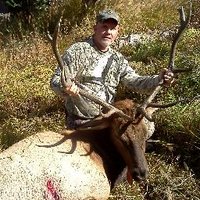 Todd Burroughs (@toddburroughs14) 's Twitter Profile