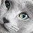 LiNa850724's profile image
