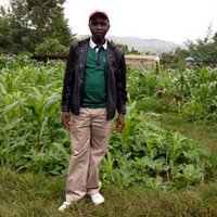 Evans Komen (@chepsoikip) 's Twitter Profile