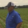 StewartRunsick's profile picture. County Extension Agent