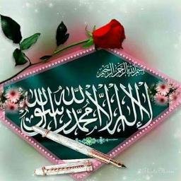 YLIMZDzCue2OFSP's profile picture. 