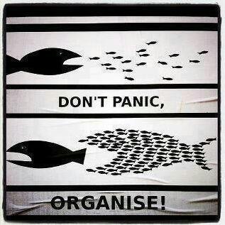 zangskar's profile picture. Retweet is not endorsement