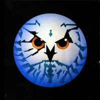 Julien Annart 🔻 (@julienannart) 's Twitter Profile Photo Julien Annart 🔻 (@julienannart) 's Twitter Profile Photo