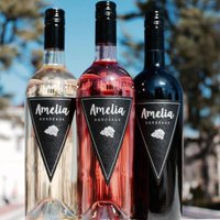 AmeliaWines (@ameliawines) 's Twitter Profile