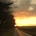 Yeovil Somerset UK (@yeovilsomerset) Twitter profile photo Yeovil Somerset UK (@yeovilsomerset) Twitter profile photo