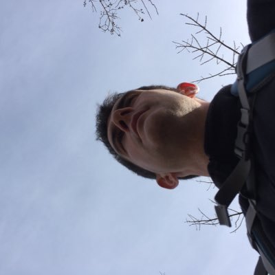 EJDarisse's profile picture. I like turtles.