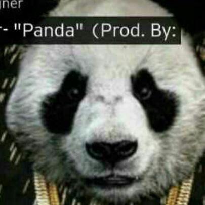 19_piolts's profile picture. follow me and i will follow u back give me some plss and some subscribers my channel name is deadmouse5 my best friends are people who I really care about