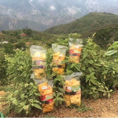 somos fabricante de chicharrines de soya snack saludable para pasabacas deliciosos