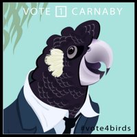 Samantha Vine (@samantha_vine_) 's Twitter Profile Photo