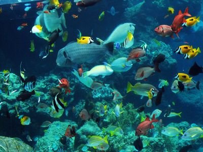 2fancycake6's profile picture. 