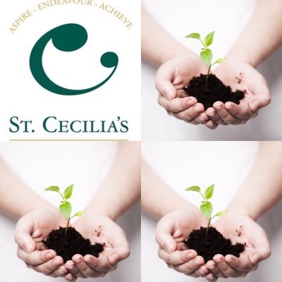 Learning for Life and Work in St Cecilia's means developing the skills to be successful, in a relevant and engaging way.