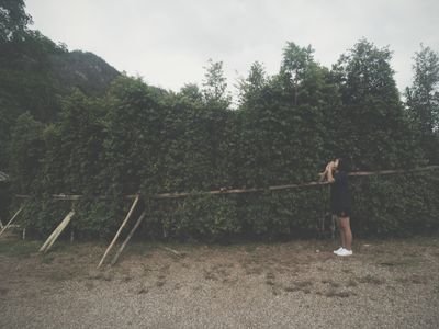 beamrid's profile picture. B. ❤