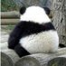 why.? (@aranelxx) Twitter profile photo why.? (@aranelxx) Twitter profile photo