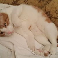 Pervin GÜLTEKİN (@pervingultekin) 's Twitter Profile Photo