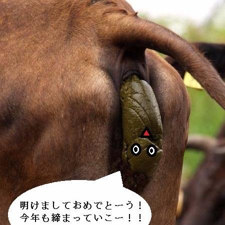 I introduce about funny Japanese people and culture etc. But don't misunderstand. Sometimes I can't understand that they're Japanese even though I'm Japanese.