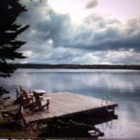 Peter Cox (@petercox) 's Twitter Profile