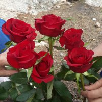 HANADI ♡ (@ohanadio) 's Twitter Profile Photo