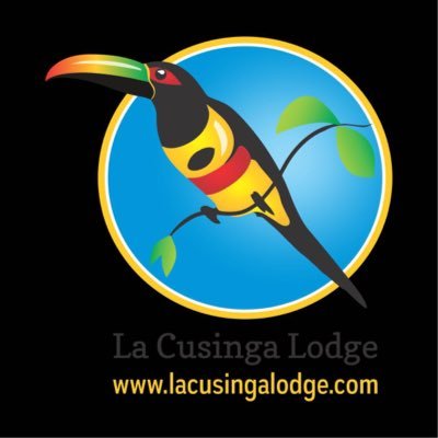 #LaCusinga Lodge is a coastal rainforest eco lodge located on the southern Pacific coast sweeping ocean views and a relaxing beach vacation. #CostaRica